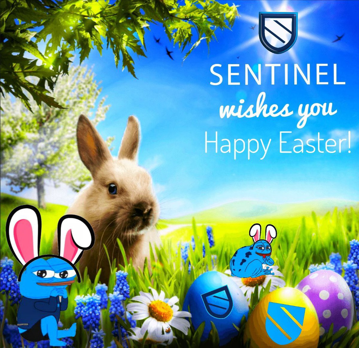 $P2P Bluefren Memes🛡️ tweet media