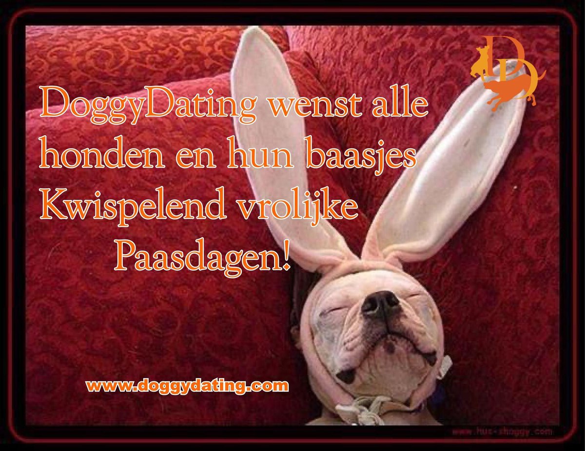 Heerlijk weer voor een fijne wandeling! Alle losloopgebieden van Nederland vind je op DoggyDating.com 🐰🐣🐶