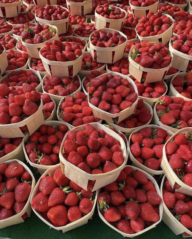 glowie_maxine's tweet photo. Pa follow po mga  berries, para counted Ang tweet ko...thank you

STAN MAXINE TRINIDAD https://t.co/DtVfyRWVZW