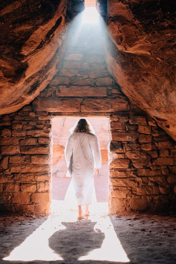 Ulisses Medeiros tweet media