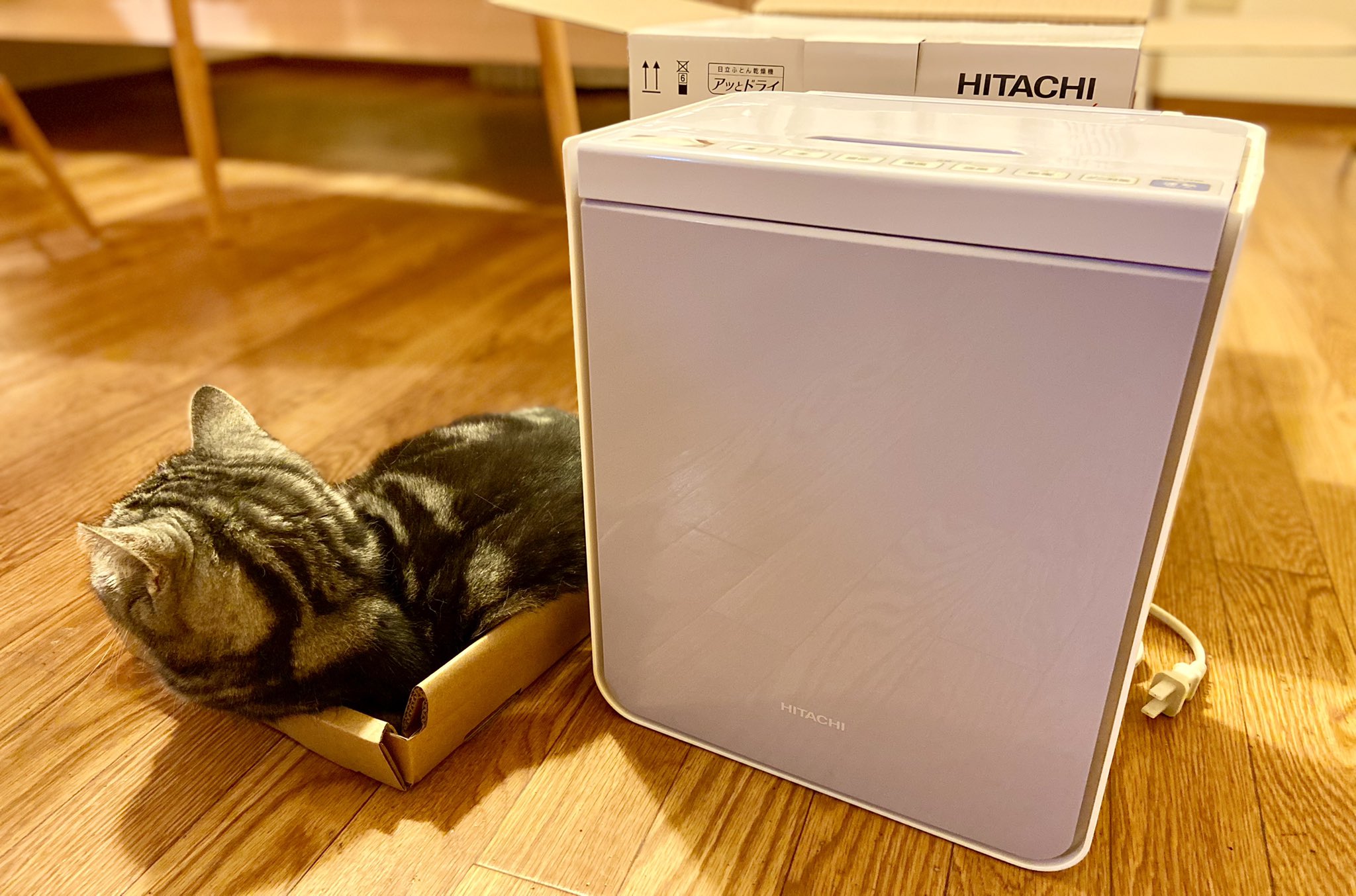 HITACHI ふとん乾燥機 アッとドライ かわいかっ HFK-VS2500BG-W