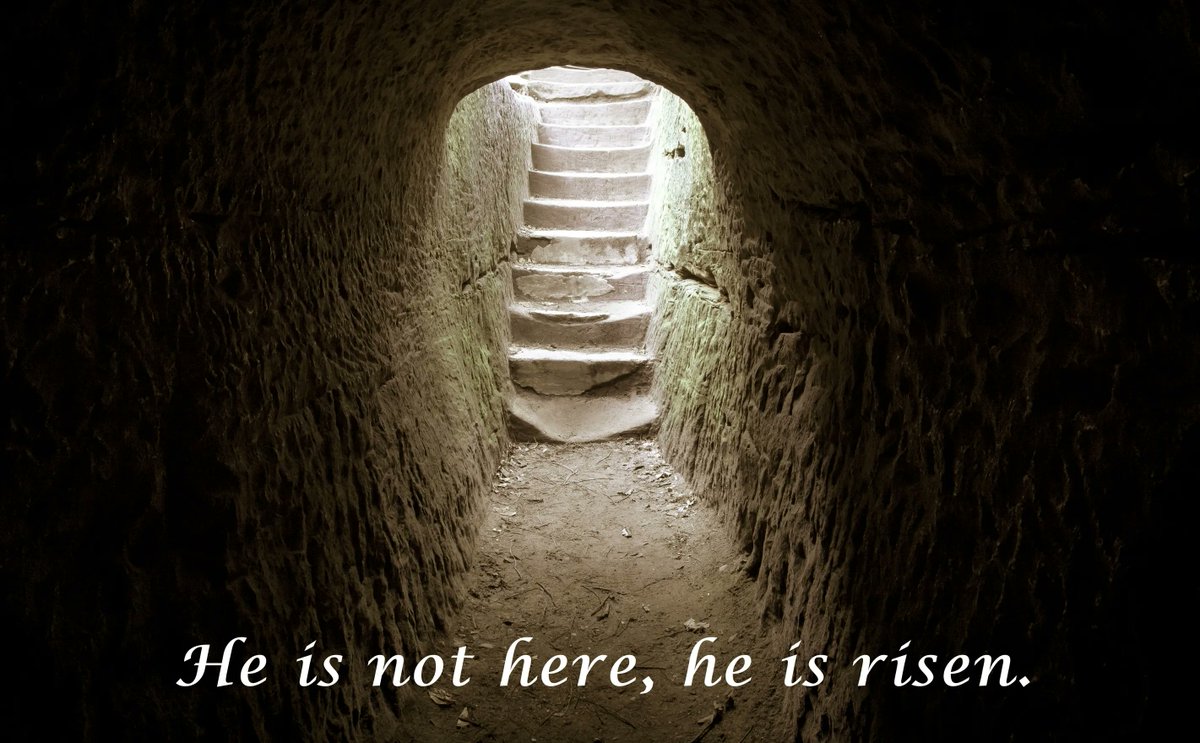 RCBirmingham's tweet photo. He is Risen! Songs and Prayers of Resurrection are highlighted in today's blog from the Liturgy and Worship Group. https://t.co/iF6ySBALlJ #Resurrection #EasterSunday #Eastermusic #Easterprayers @CAFOD @cjmmusic https://t.co/72E8w4dXSc