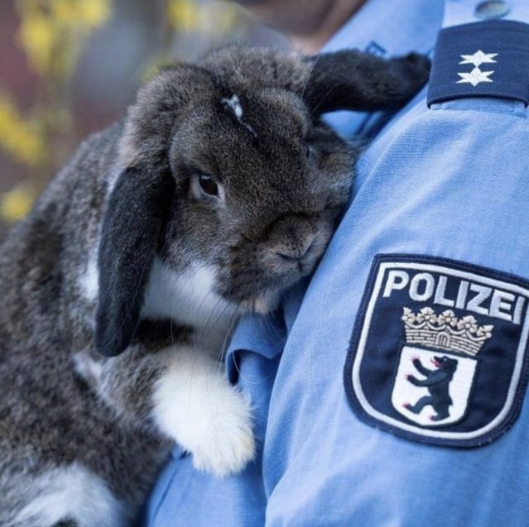 👮🏿‍♀️👮🏻‍♂️👮‍♀️👮🏾‍♂️ Happy and peaceful #Easter!