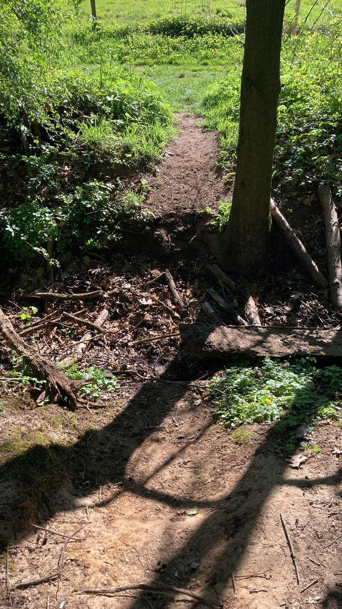 boswachterwilly's tweet photo. FIJNE PAASDAGEN!
Op #paaszaterdag hebben #vandalen het #speelbos nabij @tongelaar grotendeels #vernield! Het is gebeurd in de vroege namiddag. Wie iets of iemand daar bezig heeft gezien mag het bij me melden via PB of bij @Brab_Landschap @Naturmacher https://t.co/KLTfOrKWXS