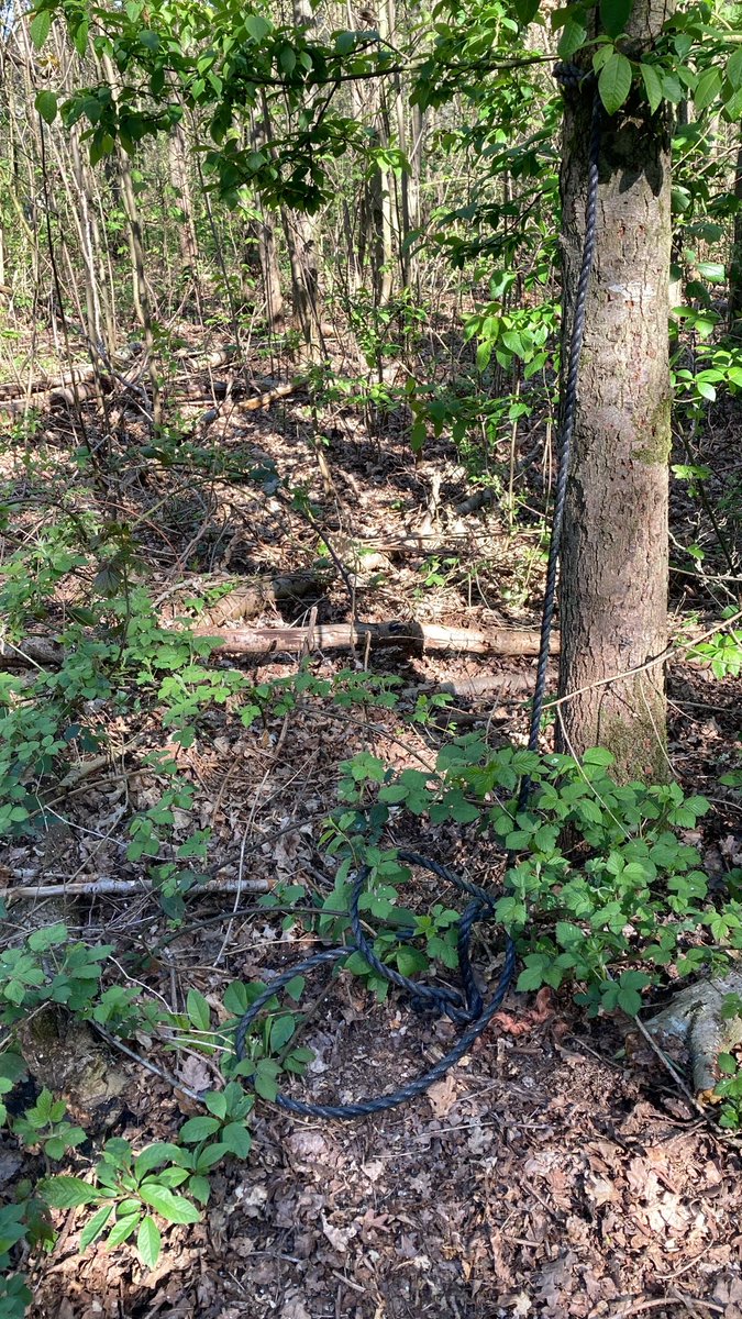 boswachterwilly's tweet photo. FIJNE PAASDAGEN!
Op #paaszaterdag hebben #vandalen het #speelbos nabij @tongelaar grotendeels #vernield! Het is gebeurd in de vroege namiddag. Wie iets of iemand daar bezig heeft gezien mag het bij me melden via PB of bij @Brab_Landschap @Naturmacher https://t.co/KLTfOrKWXS