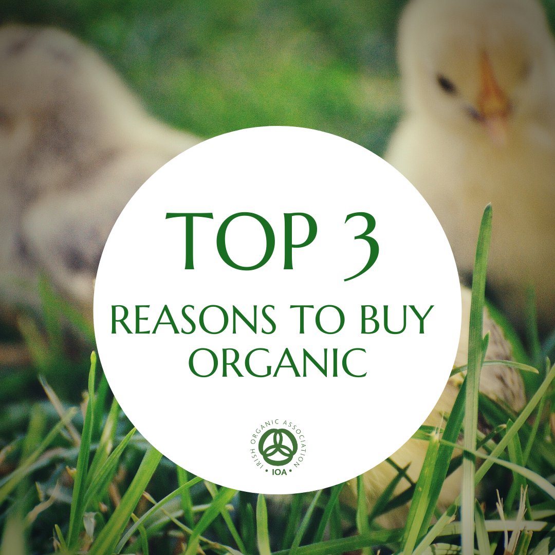 What are your top 3 reasons to buy organic?
Tell us below and give a tag to your favourite organic farmer or producer 👇🏼

#buyorganic #organicireland #demandorganic