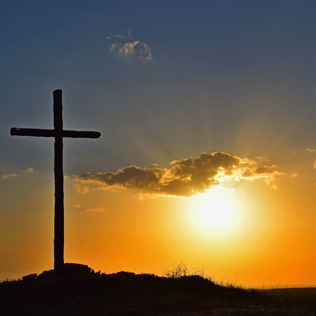 Catalyst Vineyard tweet media