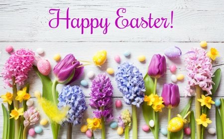 Happy Easter from the TLC Tri-State family! 

#commerciallaundry #tlctristate #Easter2022