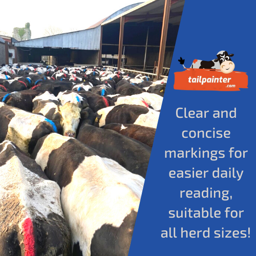 tailpainter's tweet image. Using our Tailpainter applicator and Daisy Paint will help you achieve clear and concise markings for easier daily reading! This makes life easier for farmers for accurate heat detection! 🐄🎨