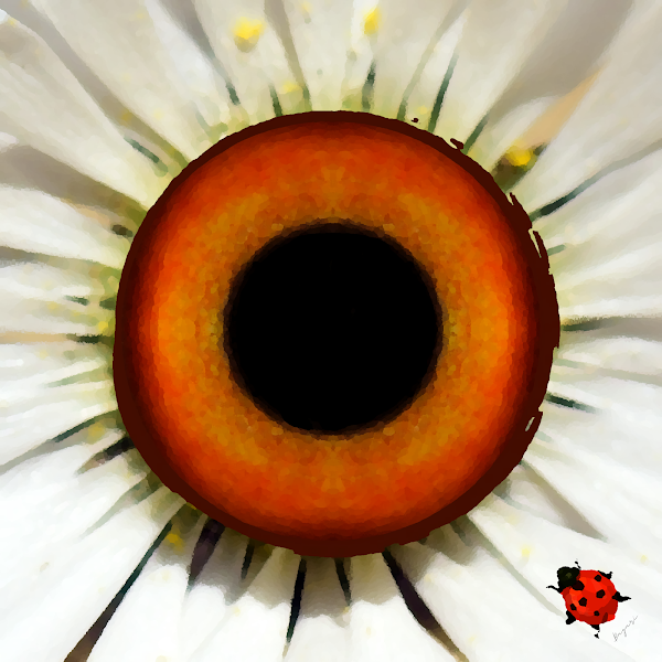 HumAniEyes's tweet photo. @Bard_NFT Eye beauty differently...
Unique 1/1 Digital Art (HUMan & ANImal EYES) irises. #HumAniEyes
Have a nice day!
Bagari #NFT https://t.co/tFeSrTzREw