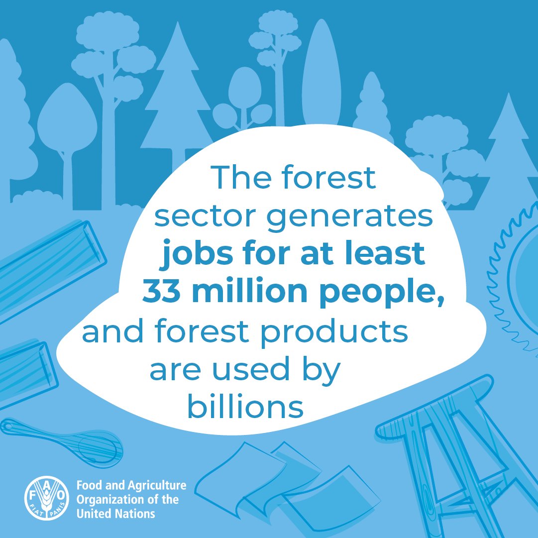 The forest sector generates jobs for at least 33 million people, and forest products are used by billions.
