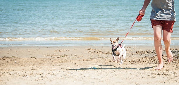 We're recruiting  Social Workers and there’s never been a better time to join us in Dorset.  If you have completed your ASYE  and are registered with Social Work England then we want to hear from you orlo.uk/Tmmz2