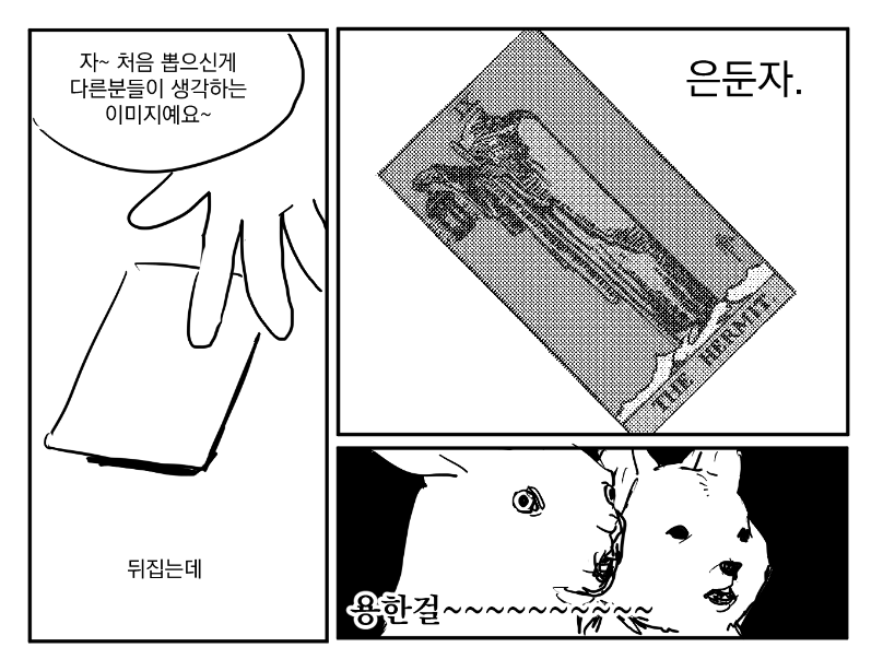 타로를 보러 갔다 