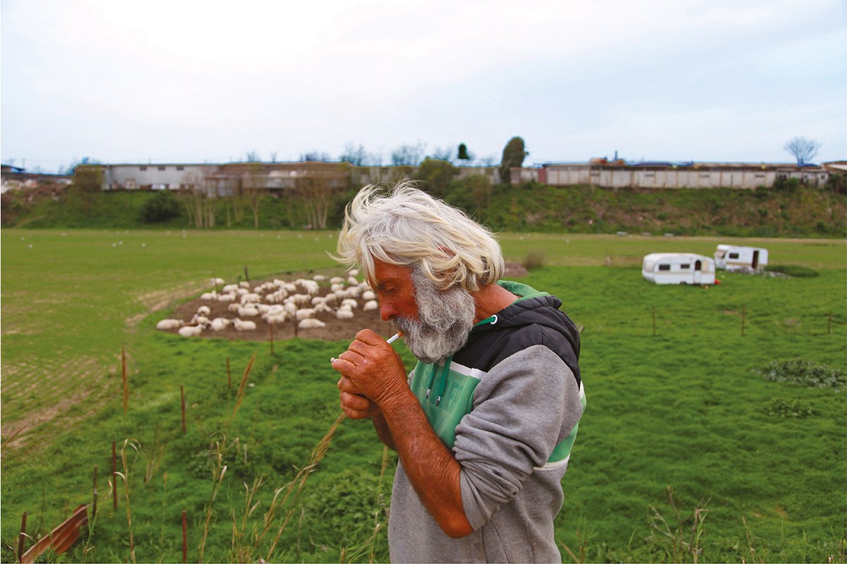 Gregorio, one of the last shepherds of Rome, lives alone in a trailer of the electricity grid and water lines. His grazing territory perennially shrinks as more land is slated for development.

This portrait can be found in the 13th issue of Berlin Quarterly. Link in bio.