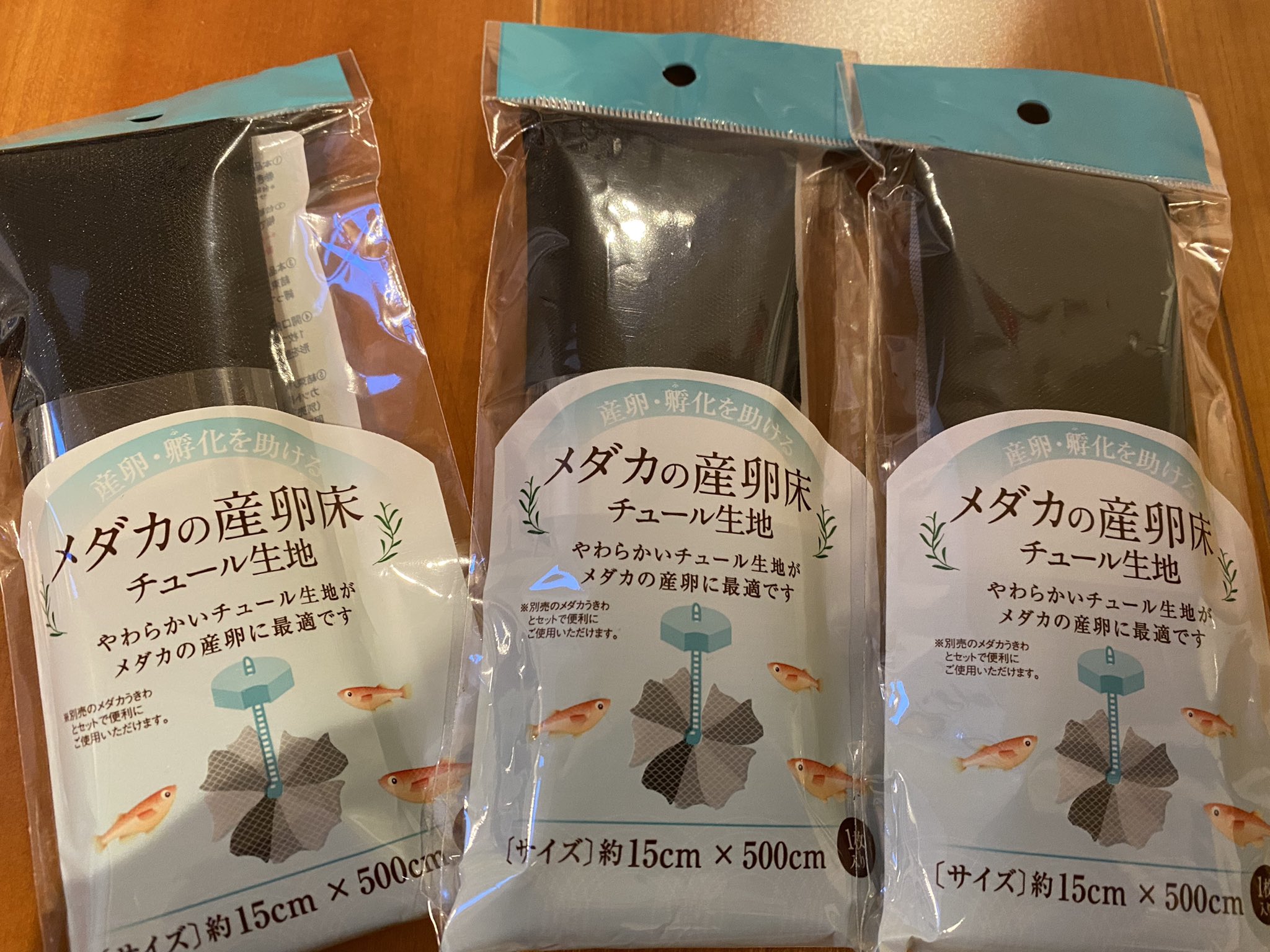くまおめだか Kumaokun Twitter