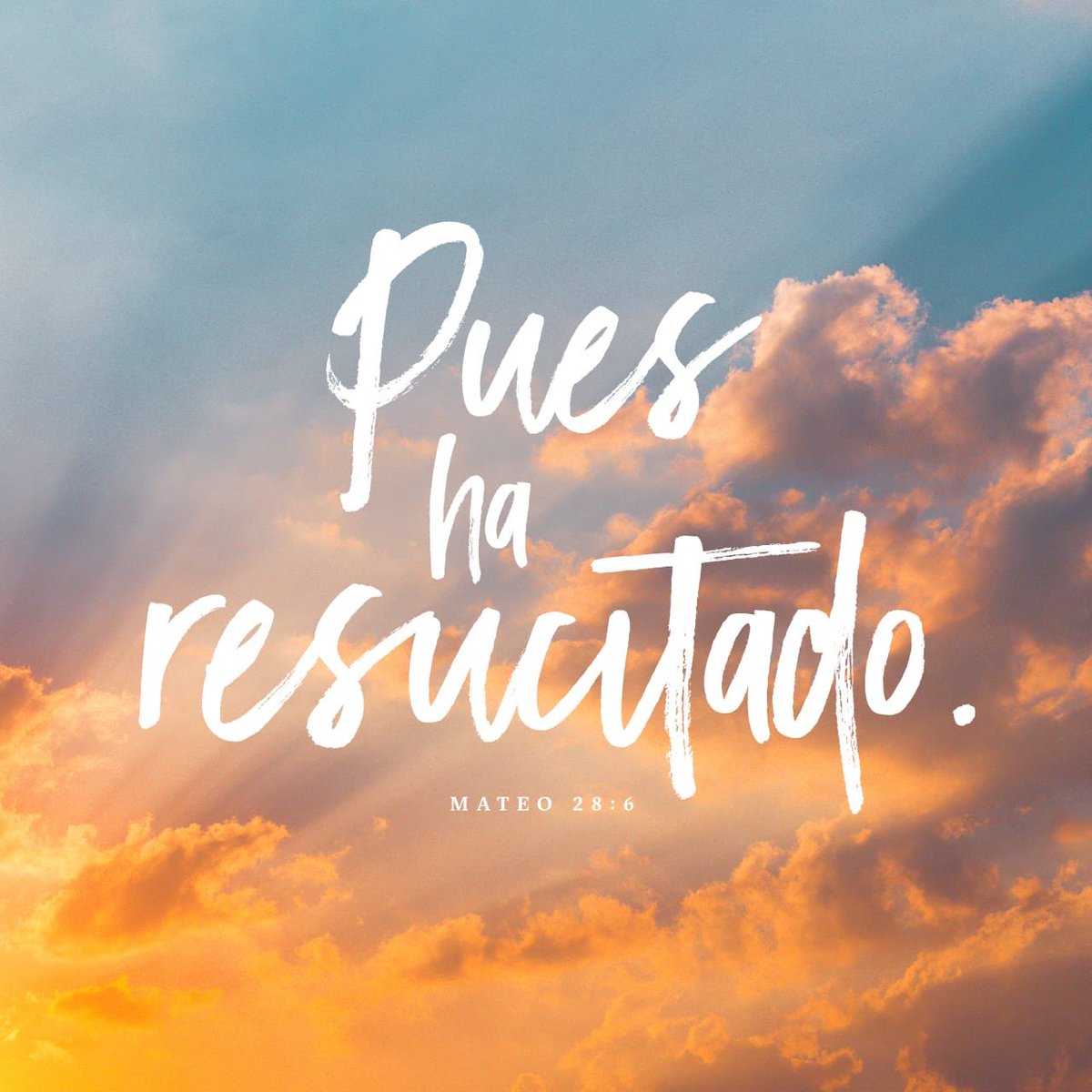 AngelaAriass_'s tweet photo. “No está aquí, pues ha resucitado, como dijo. Venid, ved el lugar donde fue puesto el Señor.”
S. Mateo 28:6 🙌❤️ https://t.co/XfEuhtnQUr