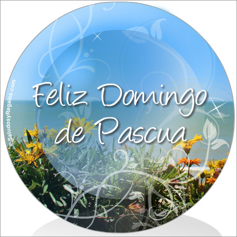 connyhadafloral's tweet photo. Qué resucite también lo mejor de cada uno de nosotros y se manifieste dulcemente. https://t.co/v1cvEq4V4p