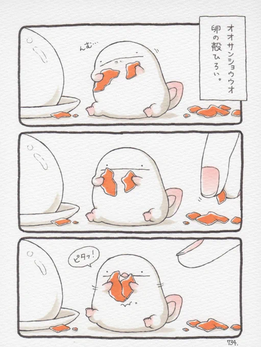 オオサンショウウオ、卵の殻ひろい。 