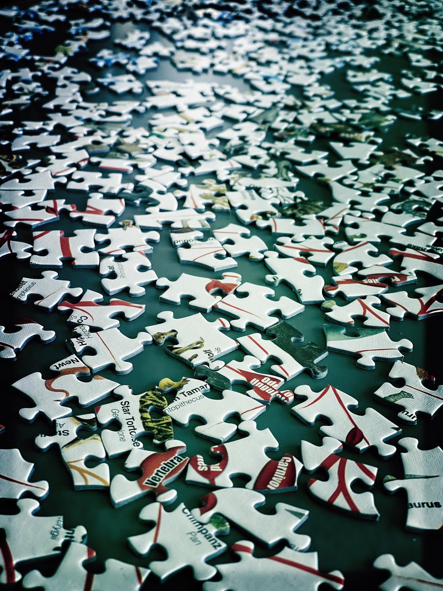 Humanist mini-sermon: all of life is connected, even if it doesn’t look like it at first. Comparative anatomy, embryology and genetics reveal the threads of connection, modification with descent. We are part of nature, not separate from it.