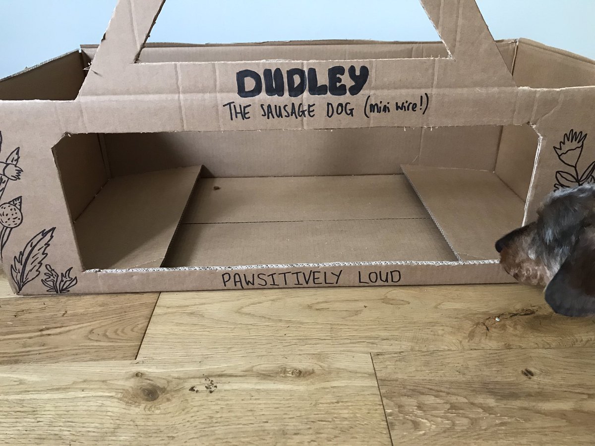 After last years magnificent win 🥇 Humum tried to up the anti and involve props. Erm….it didn’t go well. No way I was standing in that. I kept popping my head in and eating the treats ☺️ Inspired by Walter the M&amp;S sausage #SausagesandEggs ❤️