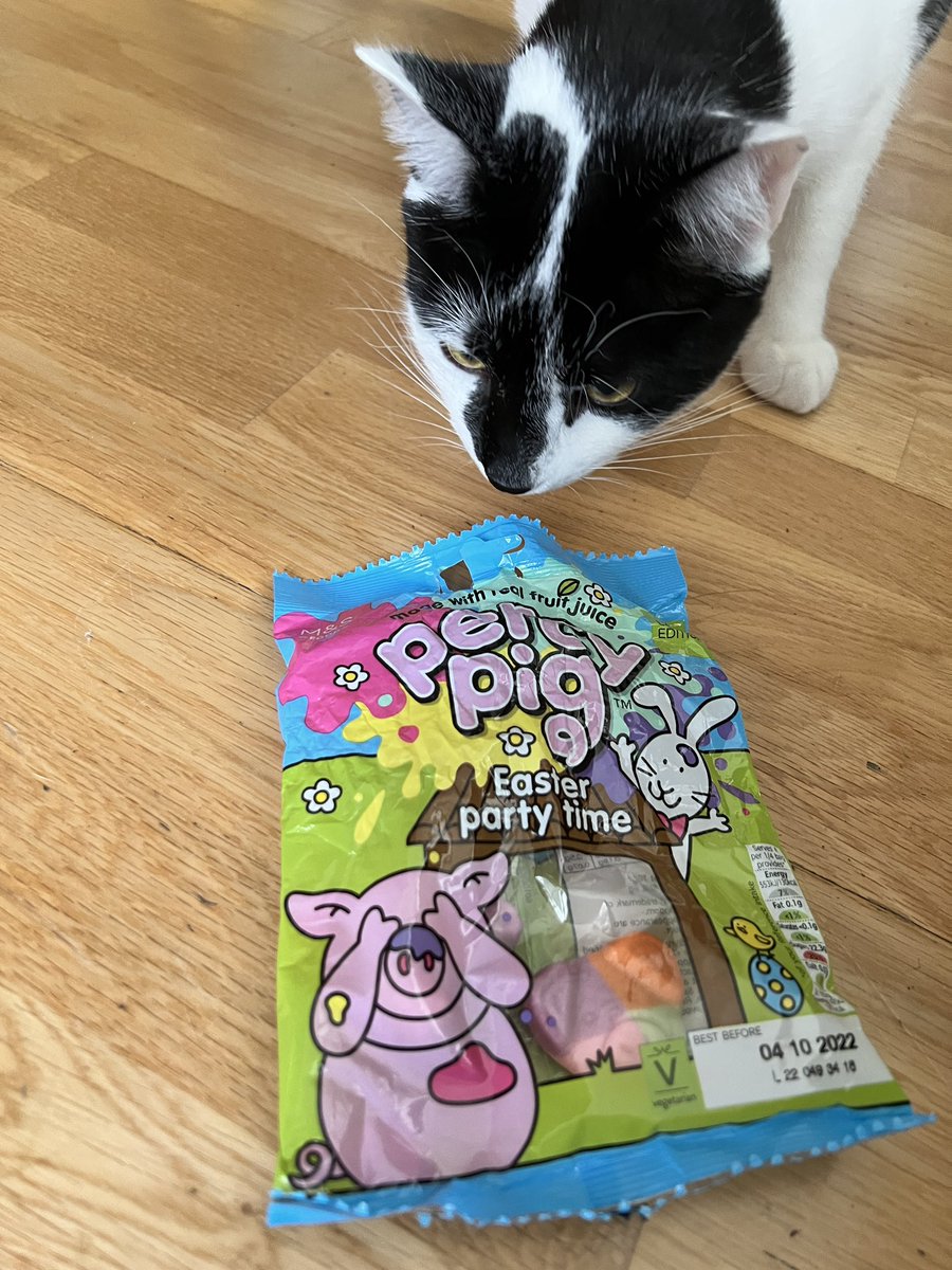 oselbam's tweet photo. @Fluffy_Trousers Lettie, we have Easter pigs here?! https://t.co/RMoTByJ7or