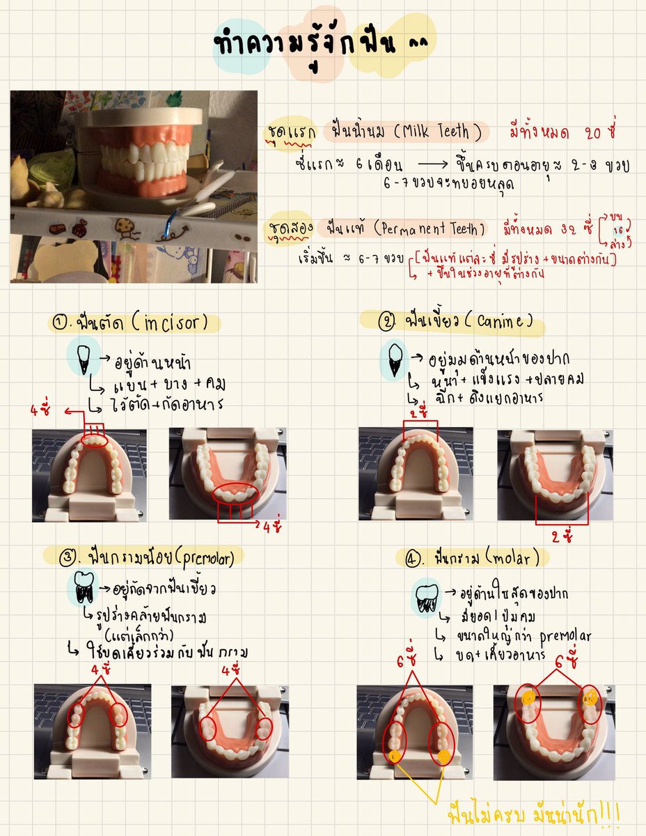 ตั้งใจทำมากกๆๆๆๆ ผ่านไปผ่านมาแวะอ่านเล่นๆกันได้นะ