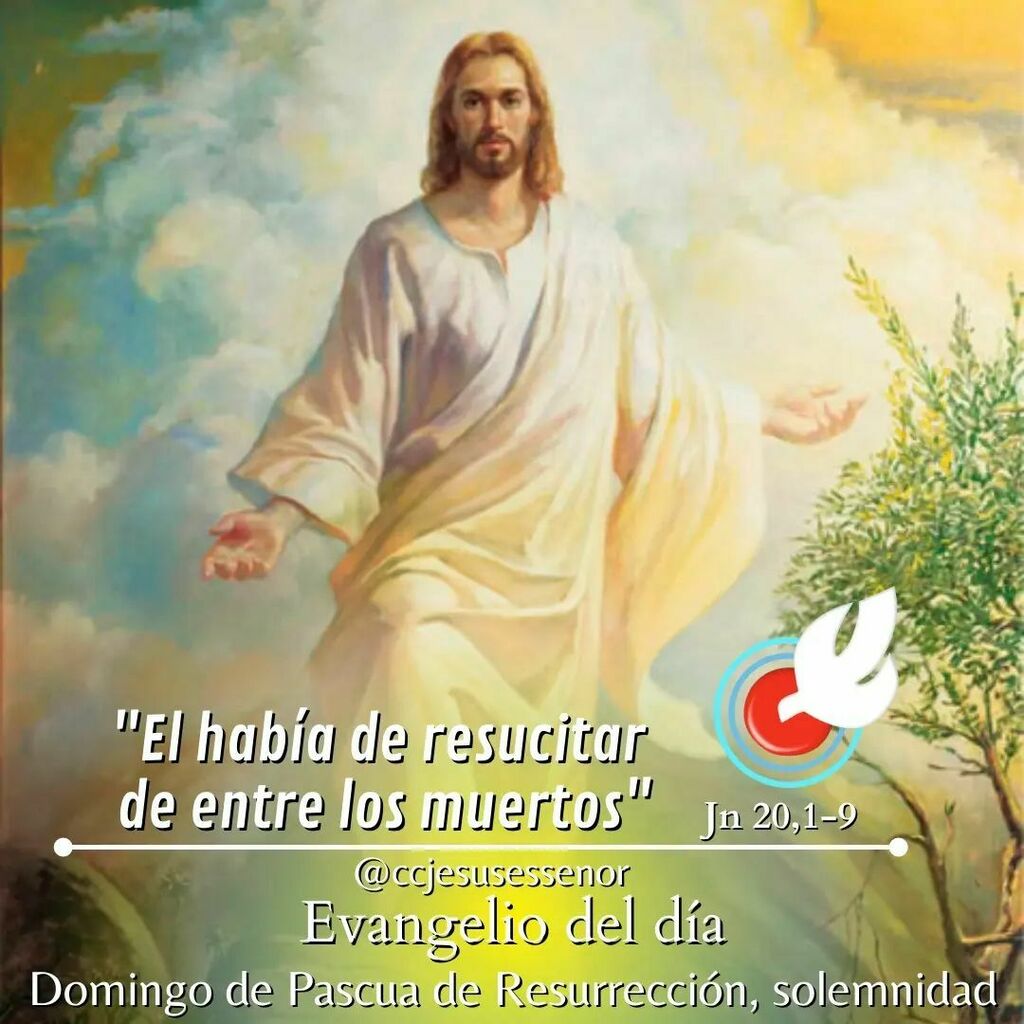 ccjesusessenor's tweet photo. Lectura del Santo Evangelio según San Juan 20,1-9 

El primer día de la semana, María Magdalena fue al sepulcro al amanecer, cuando aún estaba oscuro, y vio la losa quita del sepulcro. Echó a correr y fue donde estaba Simón Pedro y el otro discípulo a qu… https://t.co/vn02e8gOzE https://t.co/LDnBMWv69v