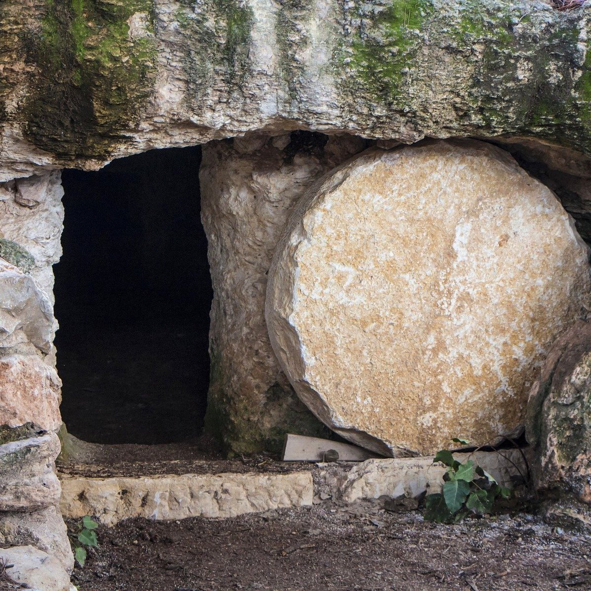 MarcosC13273070's tweet photo. And he said to them, “Do not be alarmed. You seek Jesus of Nazareth, who was crucified. He has risen; He is not here. See the place where they laid Him.”  

Mark 16:6
#eaester https://t.co/DmRDa4Wagu