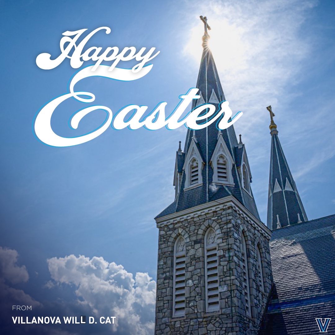 Will D. Cat tweet media