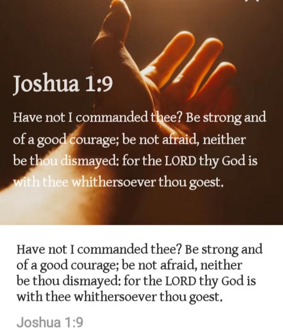 Juplam Group (@juplamgroup) on Twitter photo 