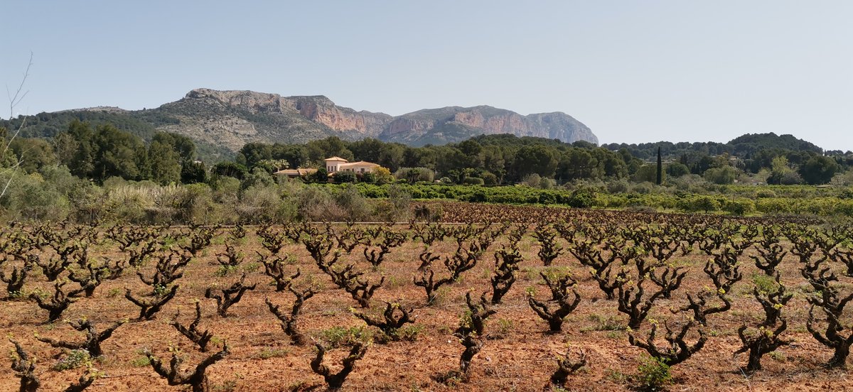 HN_Alicante's tweet photo. #Activismo | Ruta Dénia - Jesús Pobre - Jávea - Dénia (Alicante) 32 km

Divertido trazado de asfalto, tierra, barro y agua, recorriendo tierras agrícolas de la comarca con el Montgó siempre presente.

Conocer para defender. https://t.co/sRjP6RGVlN