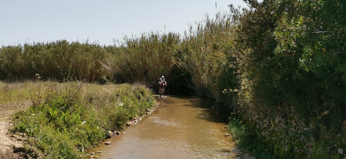 HN_Alicante's tweet photo. #Activismo | Ruta Dénia - Jesús Pobre - Jávea - Dénia (Alicante) 32 km

Divertido trazado de asfalto, tierra, barro y agua, recorriendo tierras agrícolas de la comarca con el Montgó siempre presente.

Conocer para defender. https://t.co/sRjP6RGVlN