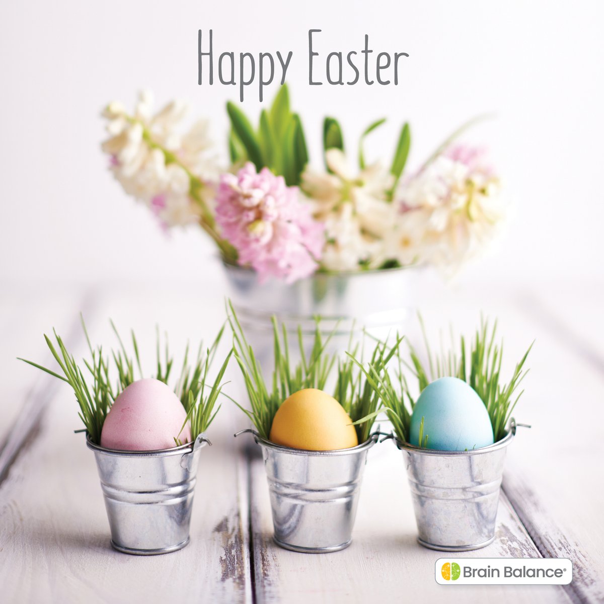 BrainBalanceSD's tweet image. Happy Easter from our Brain Balance family to yours!

#BrainBalance #HappyEaster #MakingBreakthroughsPossible