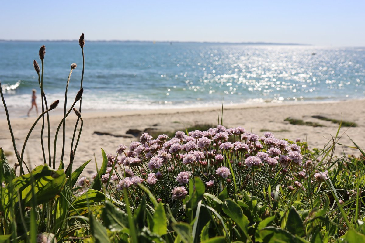 J-François Quém (@jefquem) on Twitter photo 