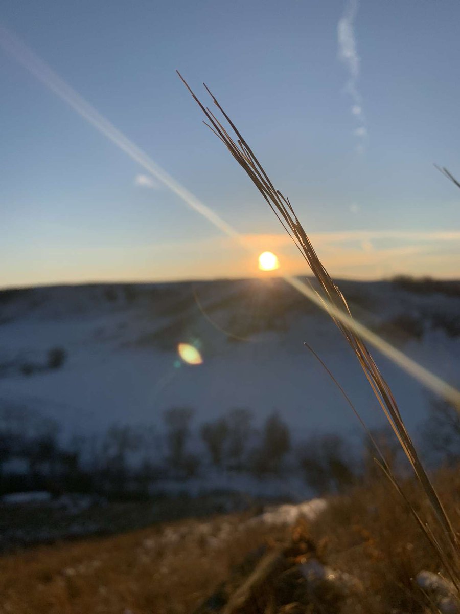 701pursuit's tweet photo. Sometimes you just have to sit back and capture moments mother nature gives!

#701Pursuit #outdoors #sunrise #hunting #turkeyhunting #thunderchickens #gobblers #turkey #nature #scenery https://t.co/4xzxx8ERu9