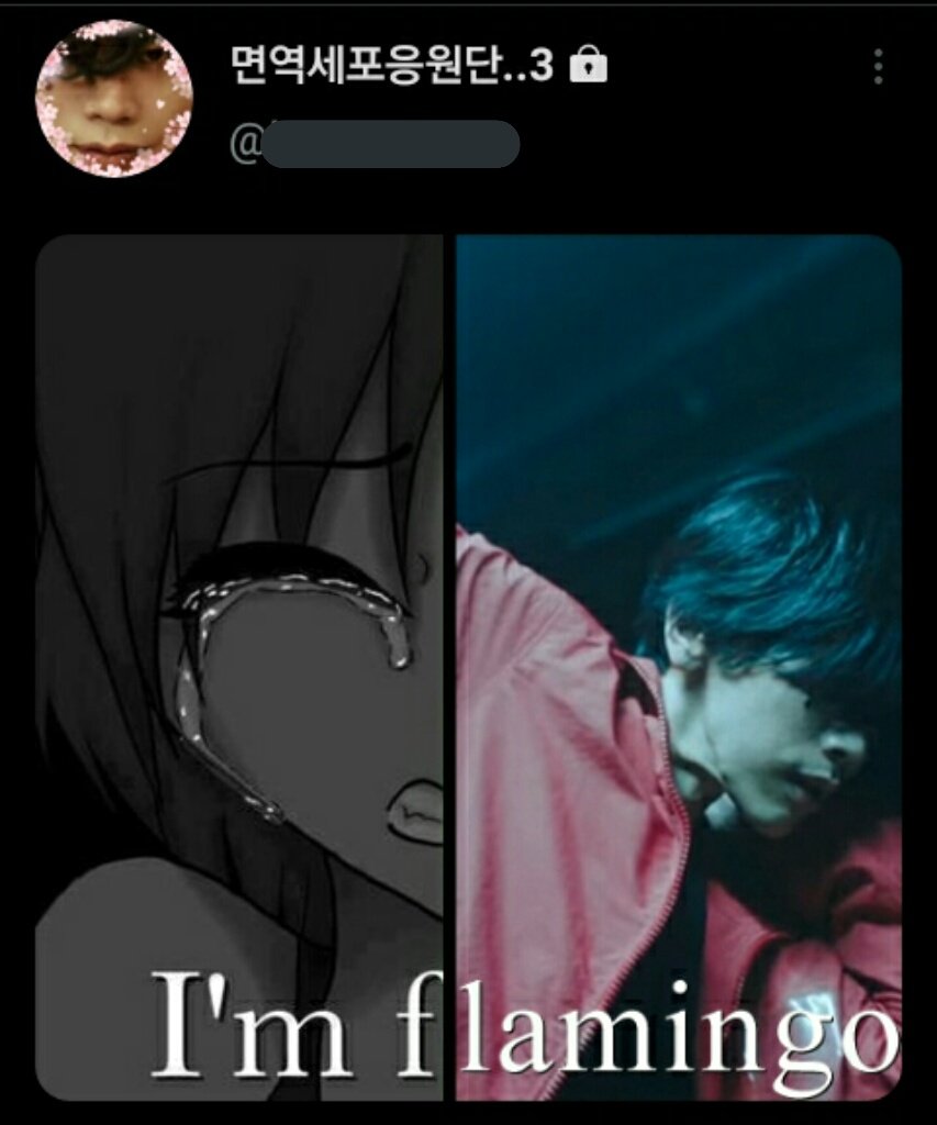 요내회 (@followyouryone) on Twitter photo 