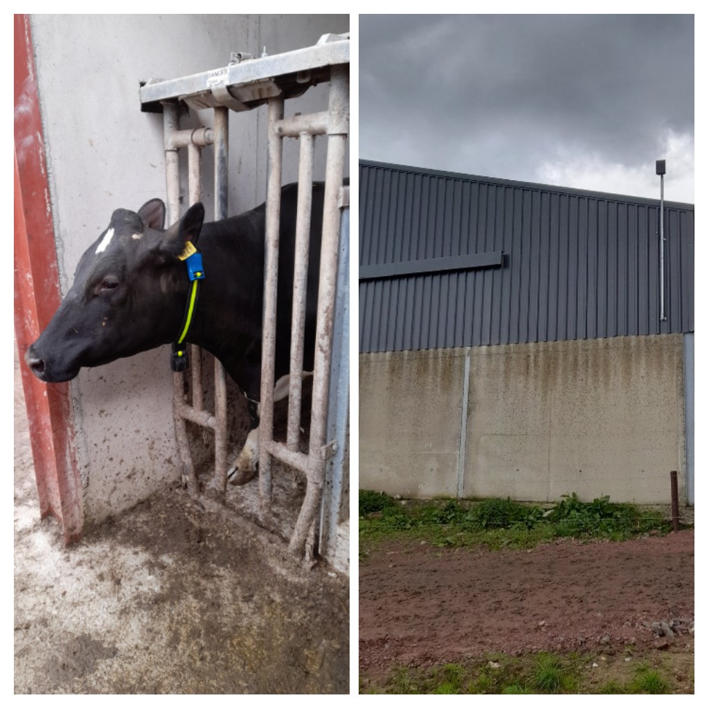 MullinahoneCoop's tweet photo. A busy Easter weekend fitting a Sensehub Monitoring System in Limerick @AllflexIreland
#Agtec #SenseHub https://t.co/9SxfWSEbX5