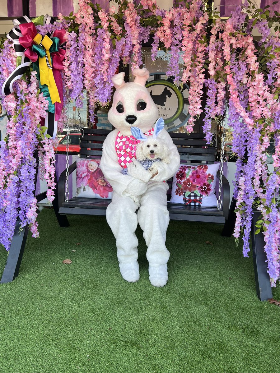 ChinhDoan's tweet photo. ๐ฃ Photobombed by the Easter bunny ๐ฐ
Happy Easter, every bunny! ๐
#Easter #EasterSunday #HeIsRisen #Easter2022 #TulsaPets #TulsaDogs #OklahomaPets #OklahomaDogs #Bichon #BichonFrise #DogModel #DogMom #adoptdontshop #rescuedogs #brucethebichon https://t.co/sYHeSfIhzr