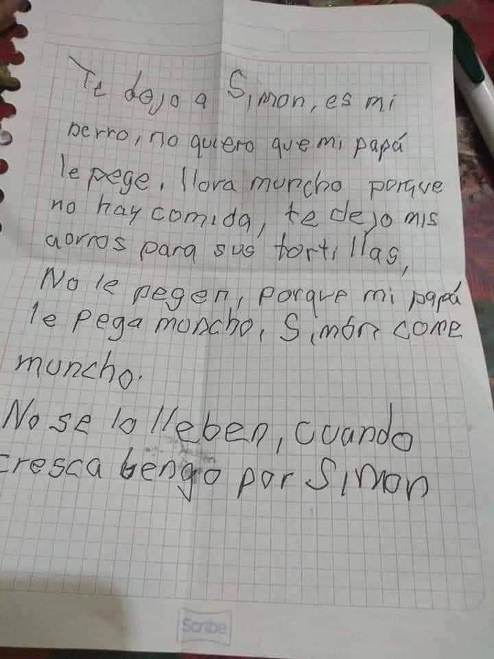perros_shidoris's tweet photo. Gracias persona desconocida por cuidar de Simón. 🥺❤️ https://t.co/DtfHvvn408