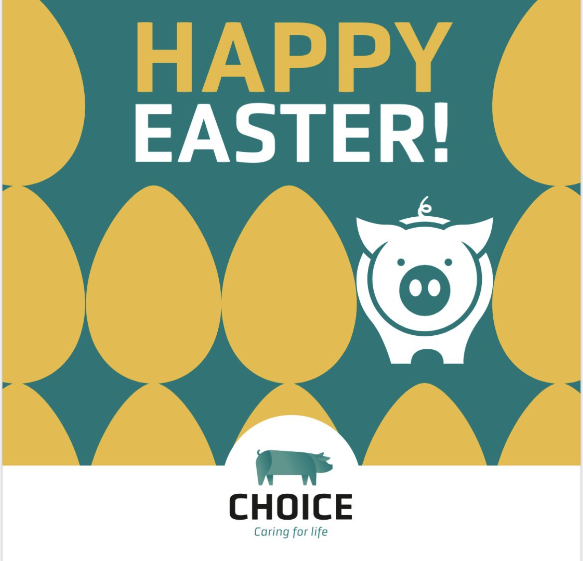 Choice Genetics tweet media