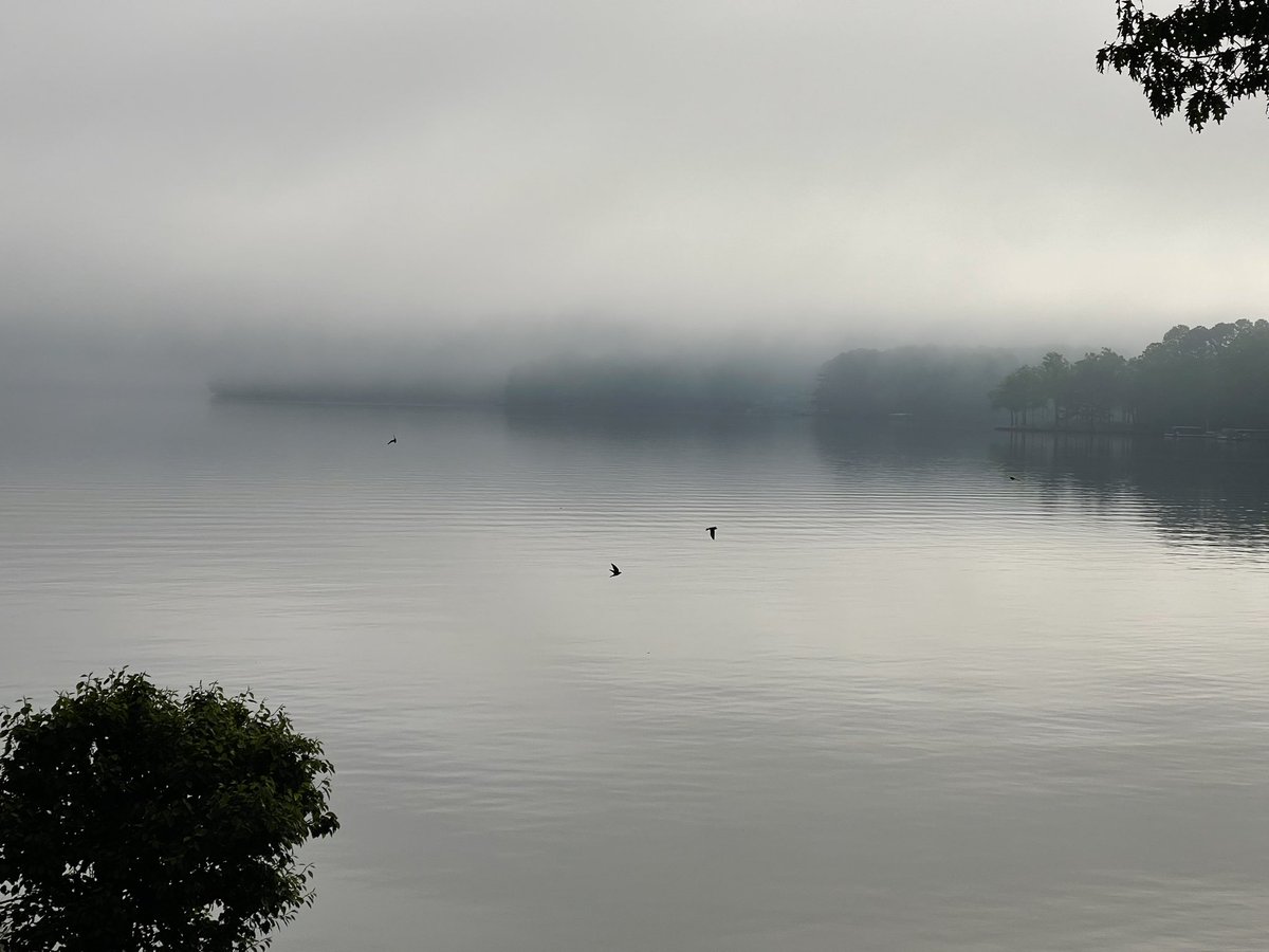 GoodSamNFT's tweet photo. GM. Happy Easter! Fog is rising and so did the Son! https://t.co/SArqd2UsxS
