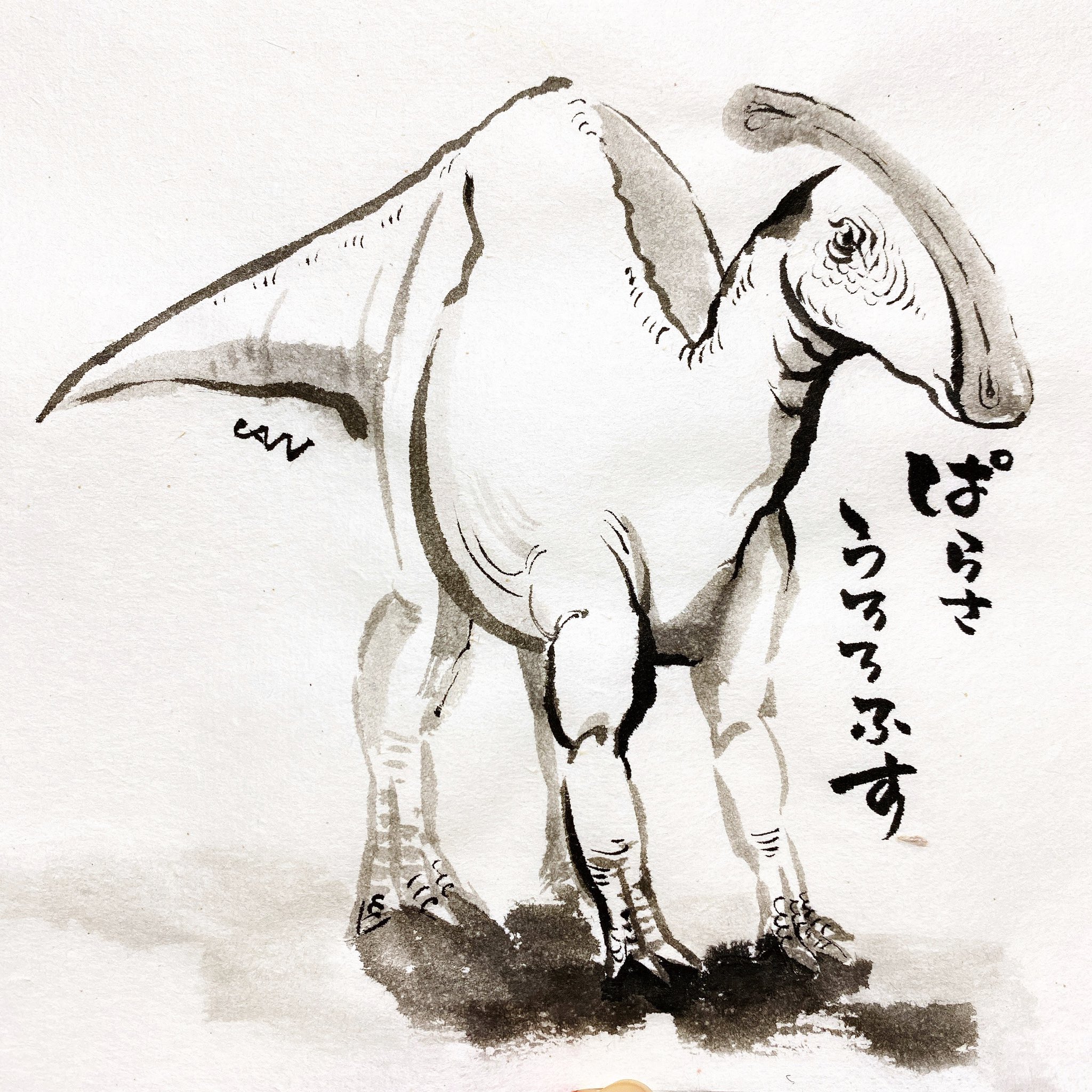 恐竜画家CAN（きゃん）🦖 on X: 
