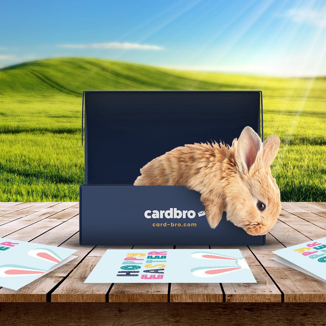 cardbro_'s tweet photo. Hope you were prepared this Easter with a thoughtful card from CardBro™ - but if not, there's always next year... you forgetful jerk. #HappyEaster #Easter #CardBro https://t.co/1xE4k5LFlT