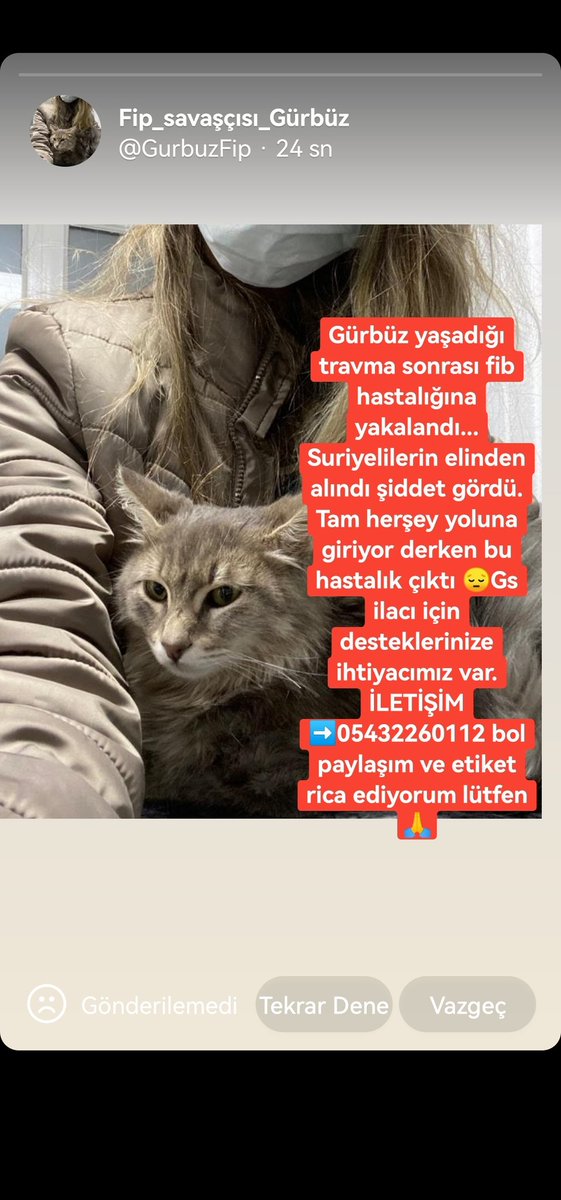 Suriyelilerden şiddet görmüş canımız kötü insanların elinden kurtarıldı ama maalesef amansız hastalık fip çıktı. Gs ilacını temin etmek için desteğinize ihtiyacımız var lütfen bol paylaşım ve etiket rica ediyorum #fip #izmirbarosu #fip治療中 #gsdestek #hasancankaya #serenserengil