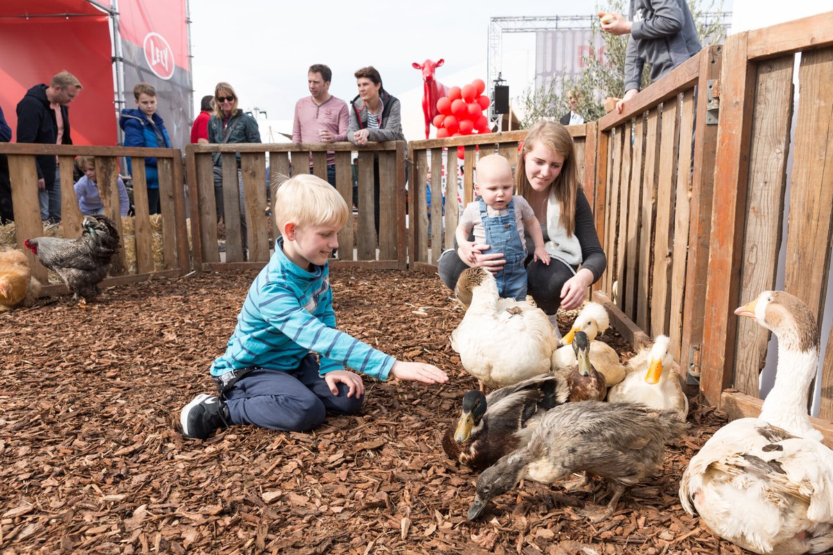 Joyeuses Pâques de la part de toute l’équipe de Lely! 🐥🐮

Comme toujours, le printemps s’annonce occupé pour les producteurs et productrices. Facilitez-vous la tâche avec nos différents robots. 🤖