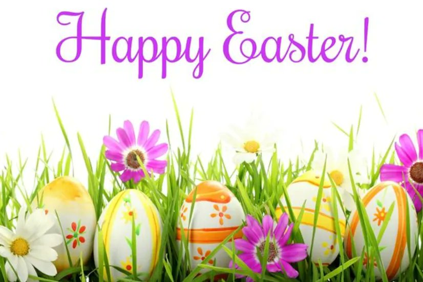 Darlene Templeton (@darlenetemple) on Twitter photo 