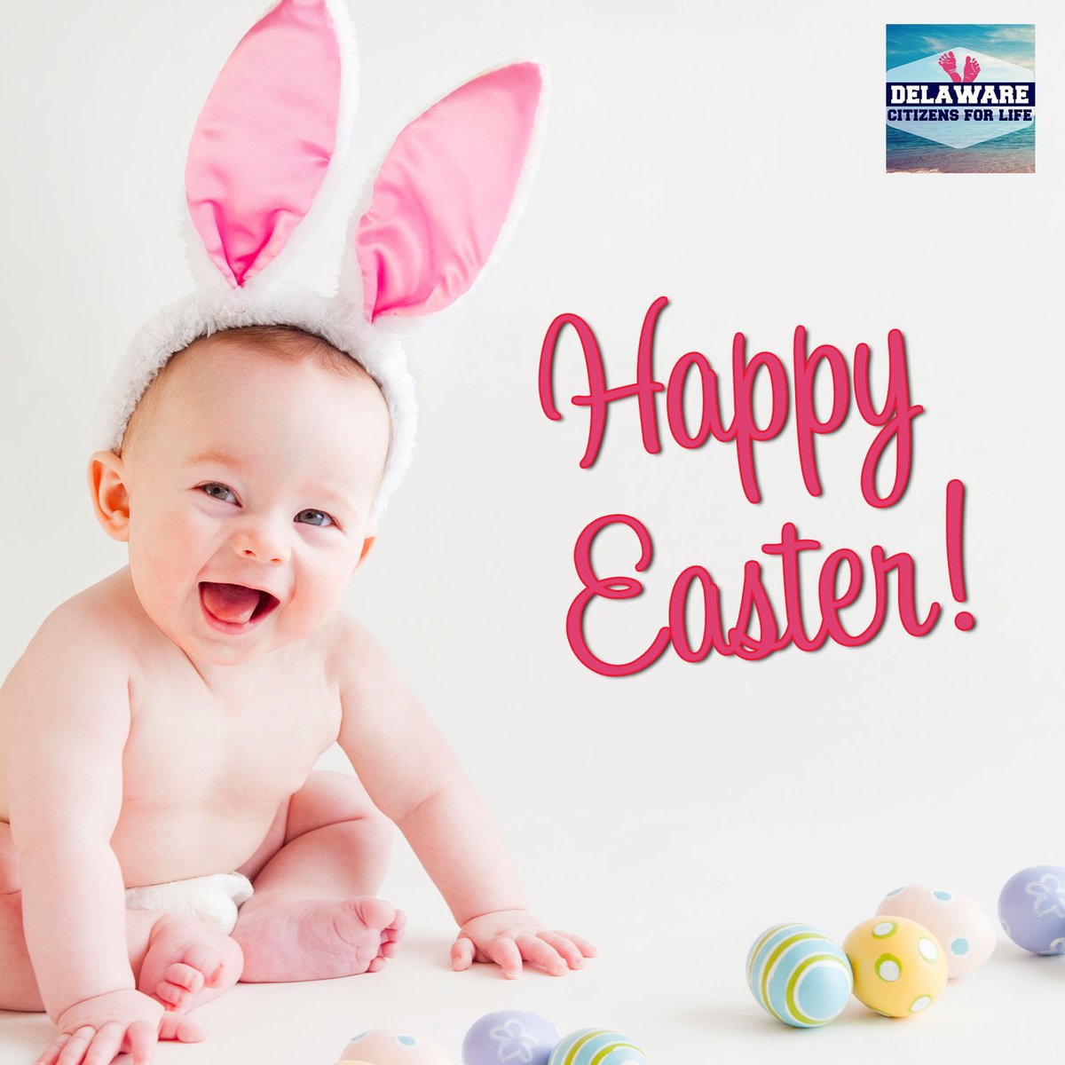 ProLifeDelaware's tweet image. Happy Easter!