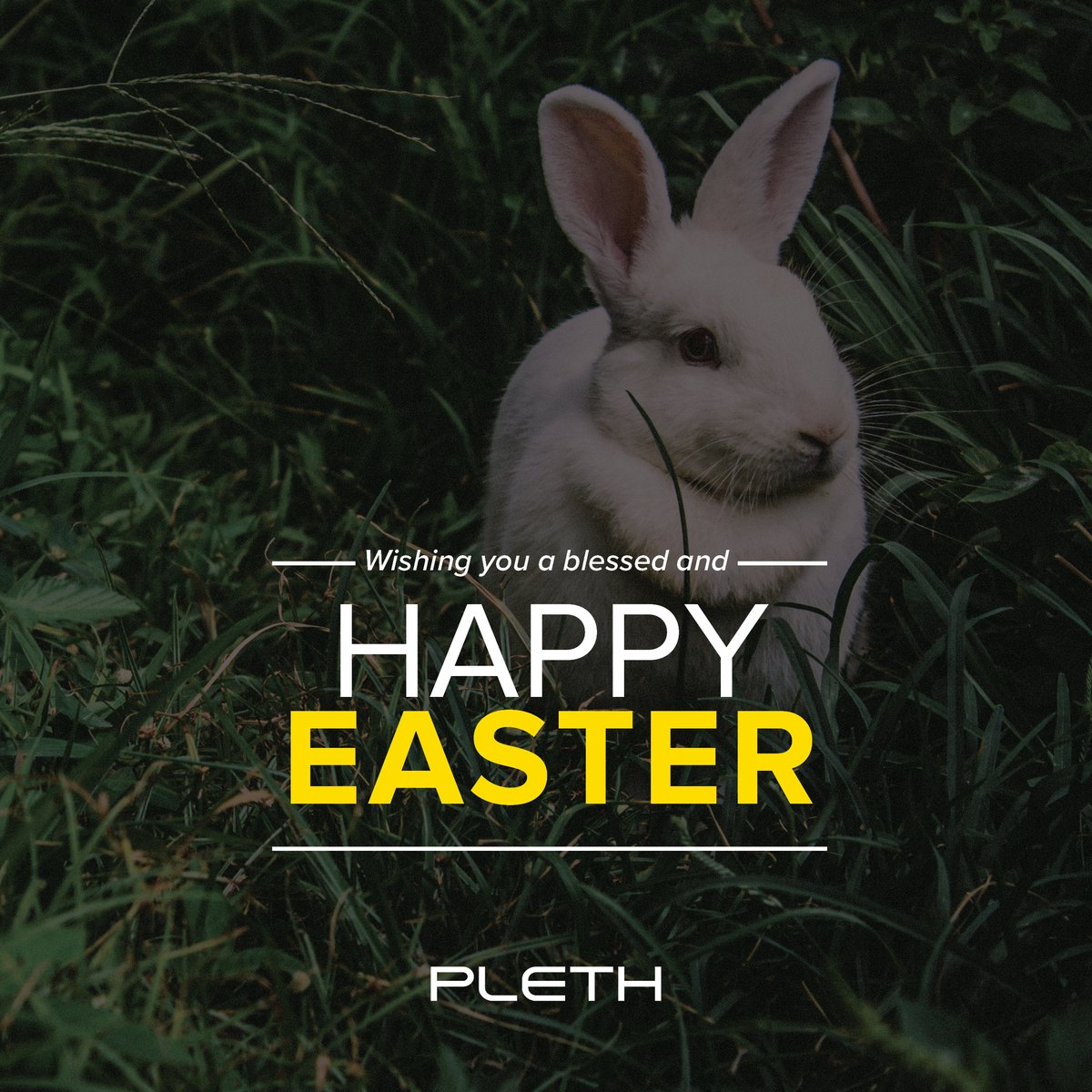 Pleth, LLC tweet media