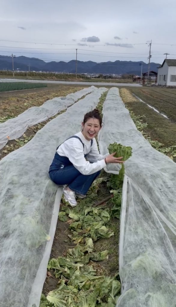 農家の孫まっちのともだっち (@noukanomago_m) / Posts / X