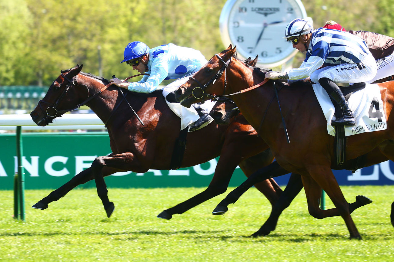 Jour de Galop on Twitter "Le 3ans FARO DE SAN JUAN (Almanzor) crée une